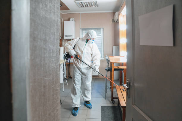 Best Emergency Mold Remediation  in Coronado, CA